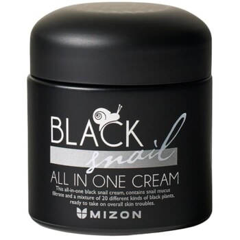 Black Snail Nettopy Cream - Pleťový krém s filtrátom sekrétu z Afrického čierneho slimáka 90%